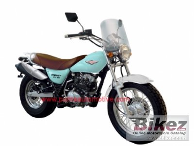 2010 Puma Energy Sv 125 photo